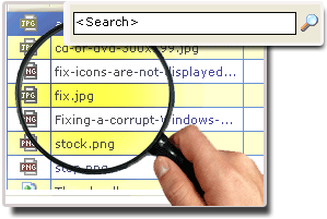 File Search Option